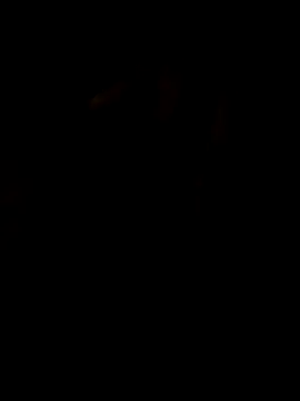 LAN69XXXX online show from 25, 3, 2026