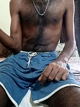 Chocolate stud10 online show from 17, 7, 2026