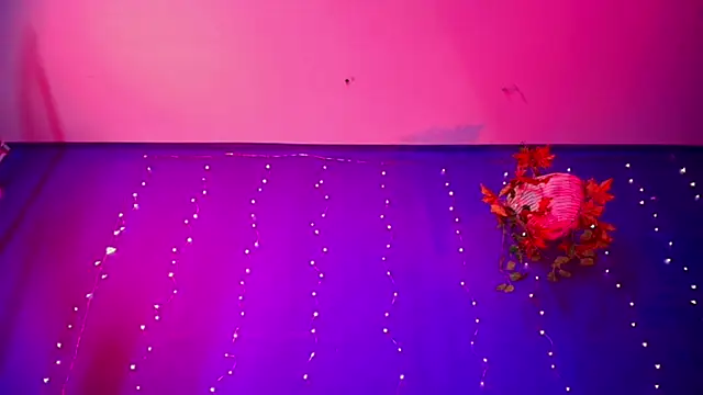 vanelope11 online show from 21, 12, 2025