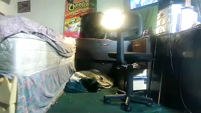 HBYAM online show from 23, 2, 2026