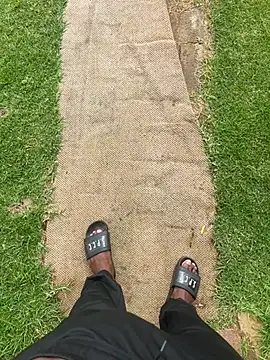 bmw65443 online show from 30, 4, 2026