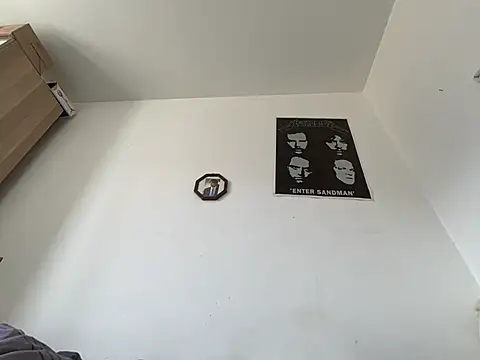 Snapshot of ofeefox chatting on 21, 3, 2025 ofeefox online show from 21, 3, 2025