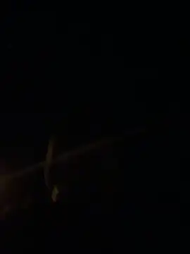 big cock is back online show from 1, 3, 2026