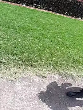 sophie banger online show from 4, 11, 2025