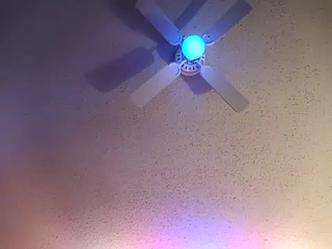 big8dall online show from 15, 2, 2026