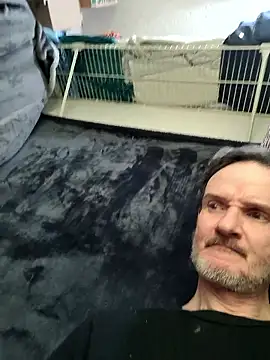 big8dall online show from 26, 3, 2026