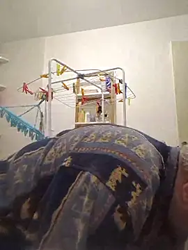 Bretoncool online show from 15, 11, 2025