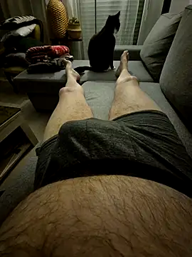 Bretoncool online show from 4, 4, 2026