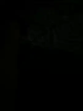 tran3 online show from 12, 9, 2025