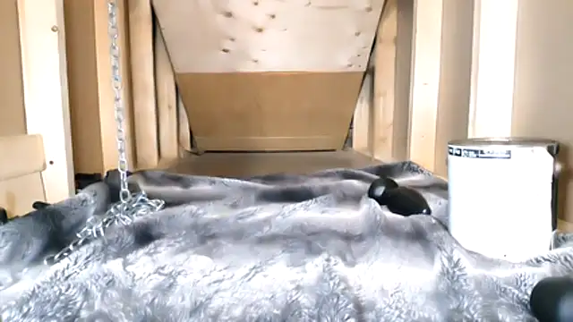 Snapshot of cbtbetaloser chatting on 16, 2, 2026 cbtbetaloser online show from 16, 2, 2026