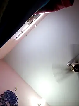 Tamil sreelekha online show from 13, 2, 2025