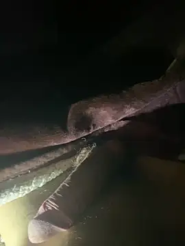 novinhoroludo8 online show from 28, 4, 2026