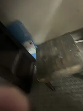 Snapshot of Firedad72FD chatting on 10, 2, 2025 Firedad72FD online show from 10, 2, 2025