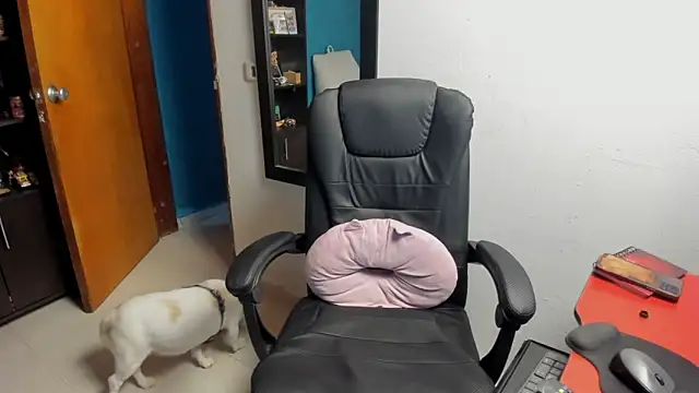 peanut tangerine online show from 9, 1, 2026