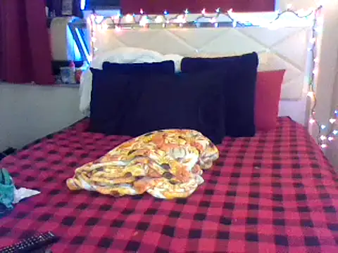 lachulalarubie online show from 12, 1, 2025