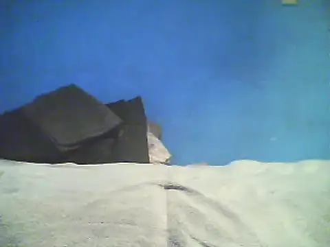 Vago745 online show from 2, 12, 2024