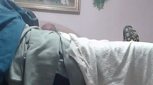 Snapshot of vanscr1 chatting on 24, 12, 2024 vanscr1 online show from 24, 12, 2024