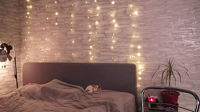    art online show from 19, 12, 2024