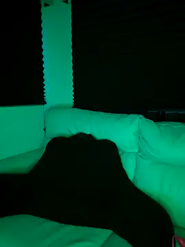 butterflybootyy online show from 18, 9, 2025