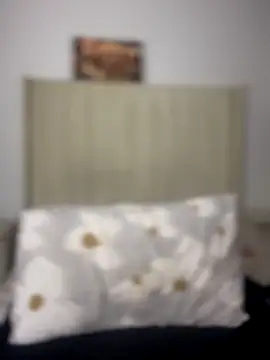 BhadBhad Kitty online show from 8, 10, 2025