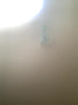 perrrotegrande online show from 21, 12, 2025