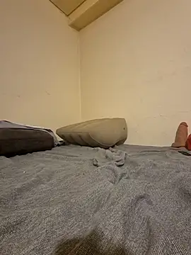 fox--3 online show from 10, 2, 2026