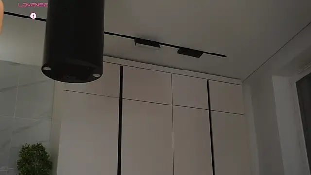 hecola online show from 11, 11, 2025