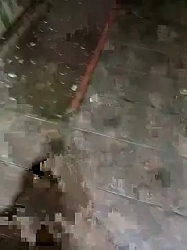 picadura1988 online show from 14, 9, 2025