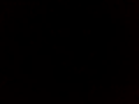 Snapshot of sammymoon chatting on 20, 12, 2024 sammymoon online show from 20, 12, 2024