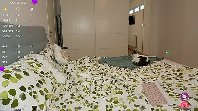 moondaoo online show from 3, 12, 2024