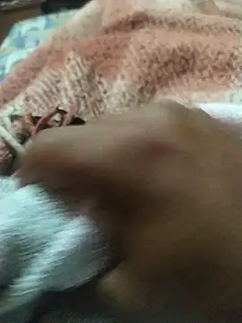 Jhjhipo online show from 21, 11, 2025