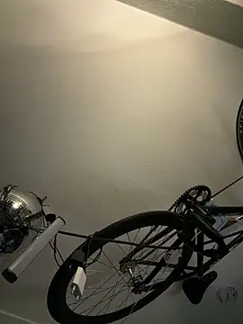 pillepallex84x online show from 1, 3, 2026