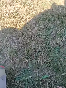 Gururonny07 online show from 12, 2, 2025