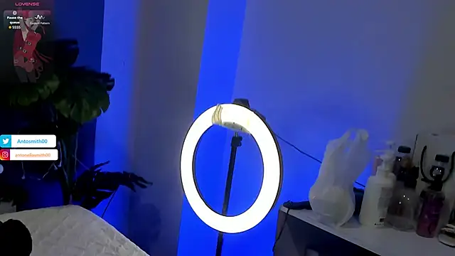 Antonellasmith00 online show from 13, 1, 2026