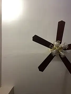 islandvybee55 online show from 15, 4, 2026