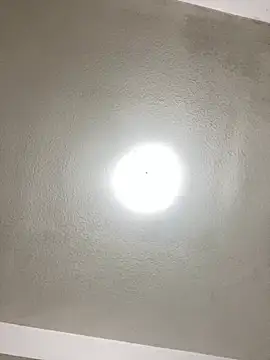 islandvybee55 online show from 22, 1, 2025