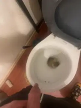 jobart-off online show from 18, 1, 2026