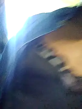 TransCya2024 online show from 7, 11, 2025