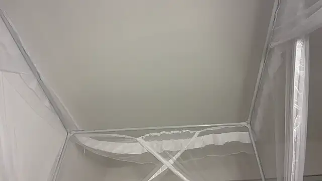 shandiloveslemonss online show from 20, 12, 2025