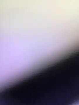 seloloko20 online show from 17, 3, 2025