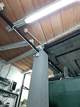 seloloko20 online show from 3, 10, 2025