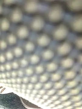 seloloko20 online show from 7, 3, 2025