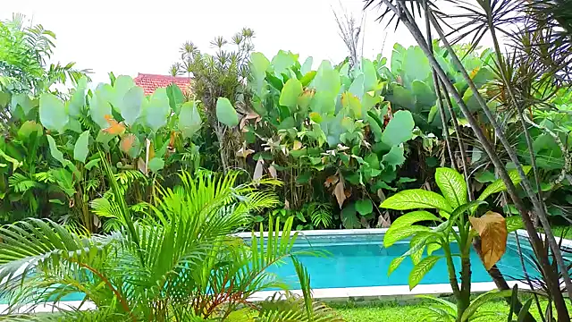  Katie Dierse online show from 9, 2, 2026