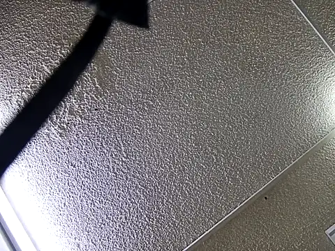 yajahil online show from 28, 11, 2025