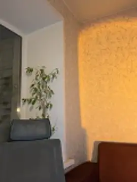 saint cat25 online show from 4, 3, 2026