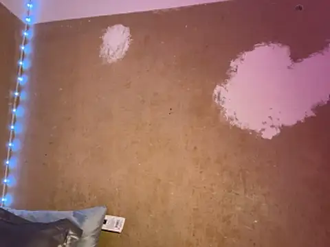 saint cat25 online show from 11, 2, 2026