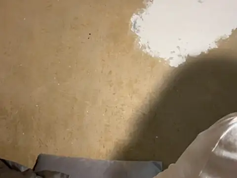 saint cat25 online show from 18, 2, 2026