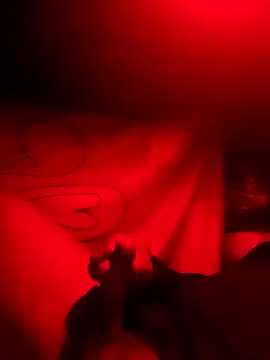 Snapshot of rayhot69 chatting on 23, 12, 2024 rayhot69 online show from 23, 12, 2024