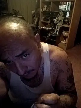 wilsons12 online show from 24, 3, 2026