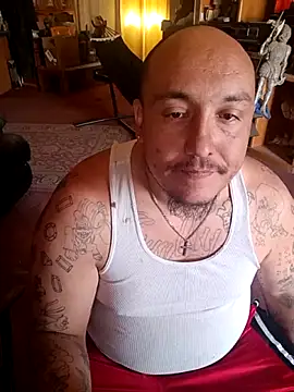 wilsons12 online show from 13, 4, 2026